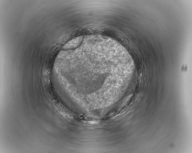 X0000093100772200710241220