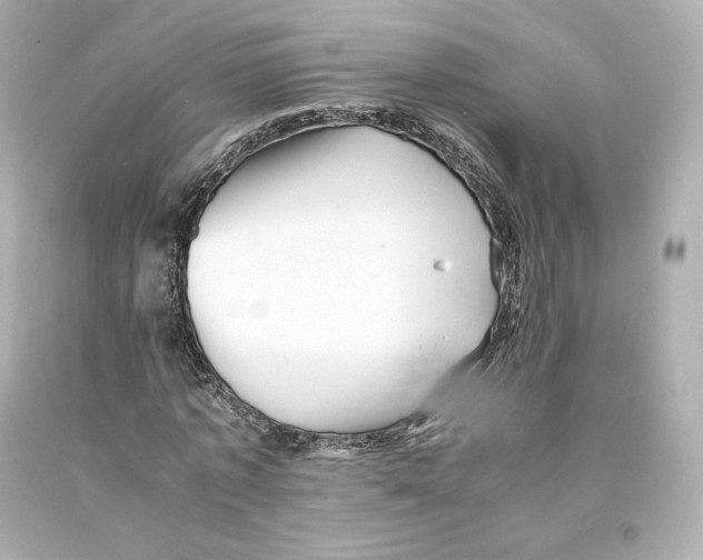 X0000093100773200710241220