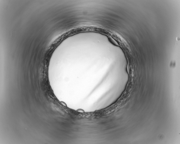 X0000093100775200710241220