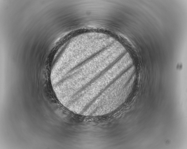 X0000093100776200710241220