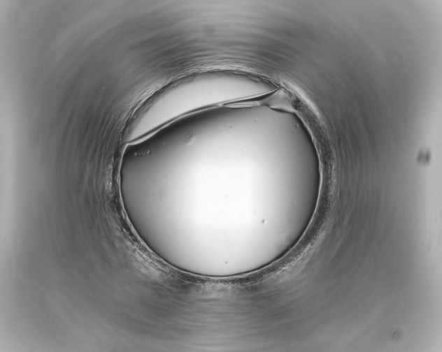 X0000093100777200710241220