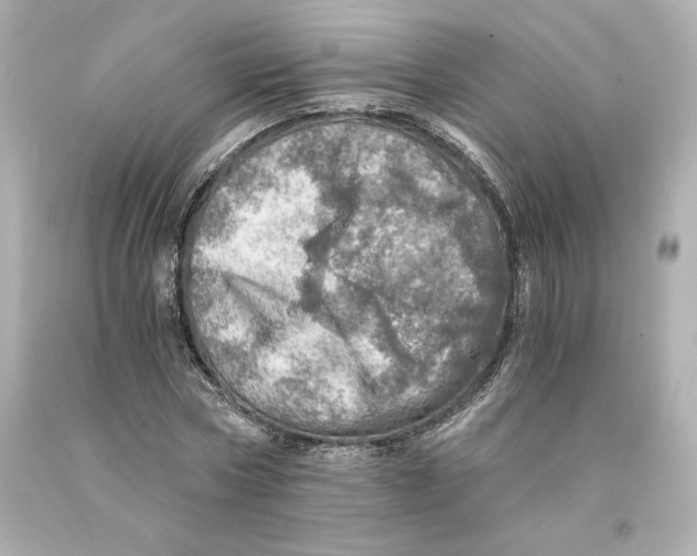 X0000093100778200710241220