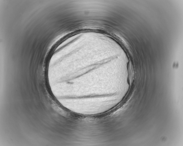 X0000093100779200710241220