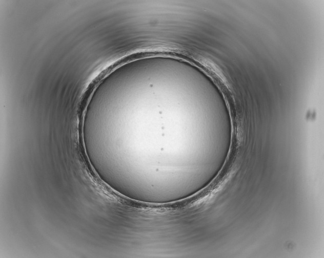 X0000093100781200710241220