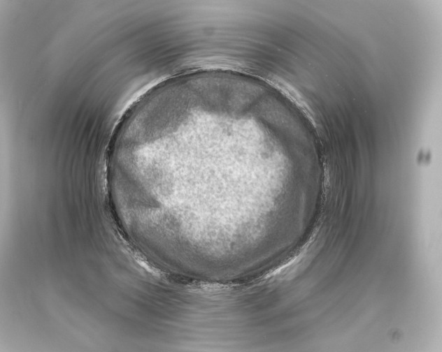 X0000093100782200710241220