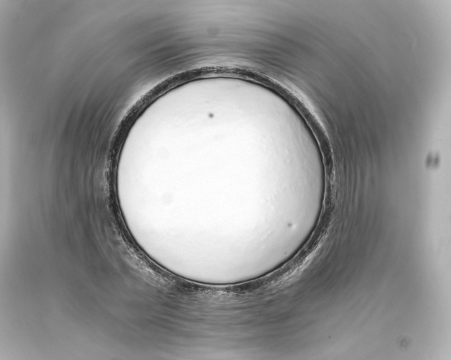 X0000093100783200710241220
