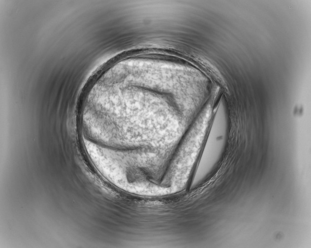 X0000093100784200710241220