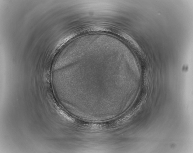 X0000093100785200710241220