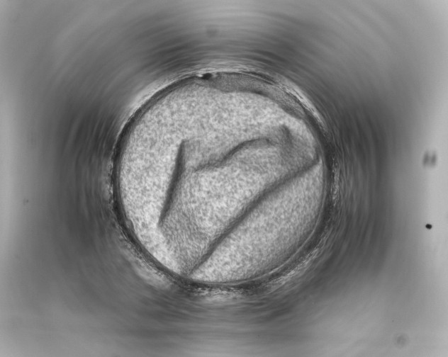 X0000093100786200710241220