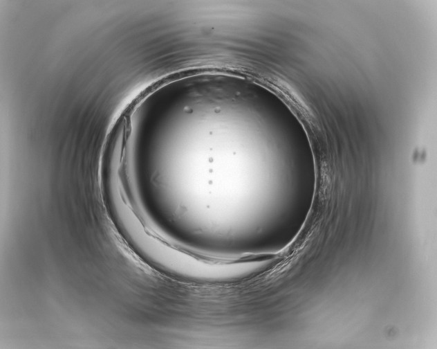 X0000093100788200710241220