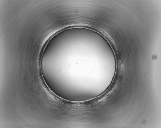 X0000093100789200710241220