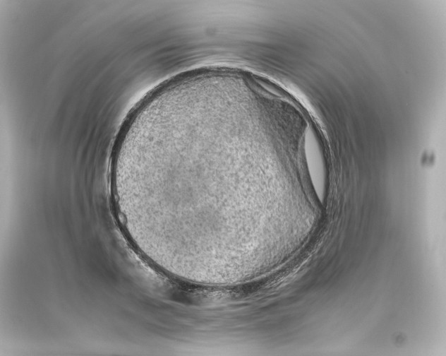 X0000093100791200710241220