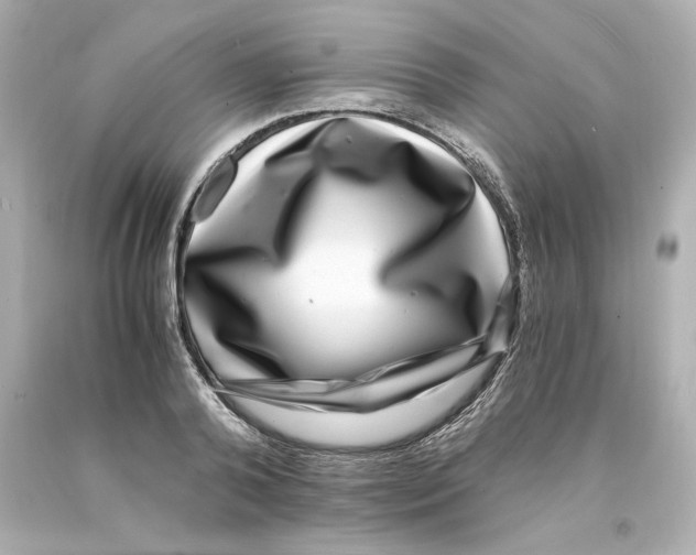 X0000093100792200710241220