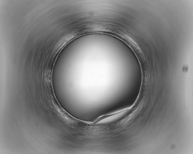 X0000093100793200710241220