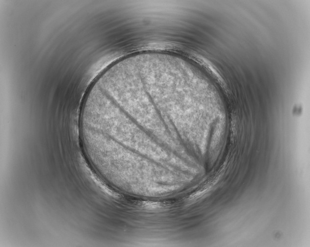 X0000093100794200710241220