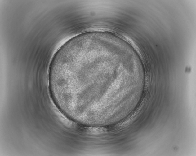 X0000093100795200710241220