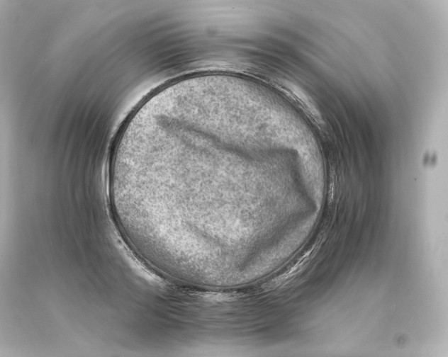 X0000093100796200710241220