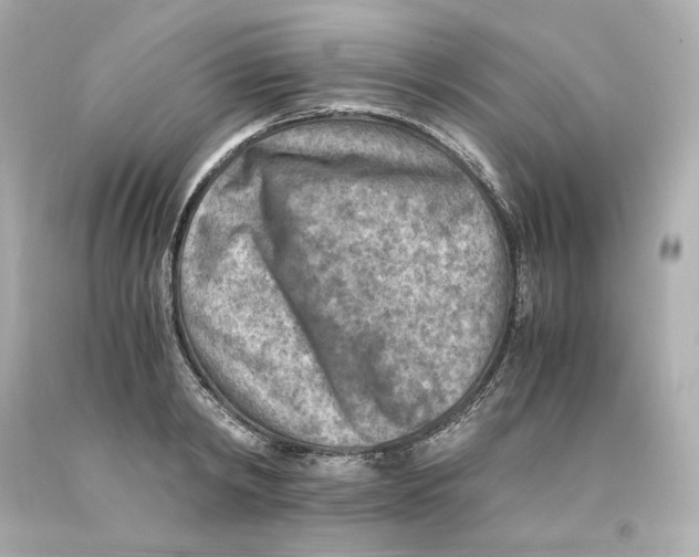 X0000093100798200710241220