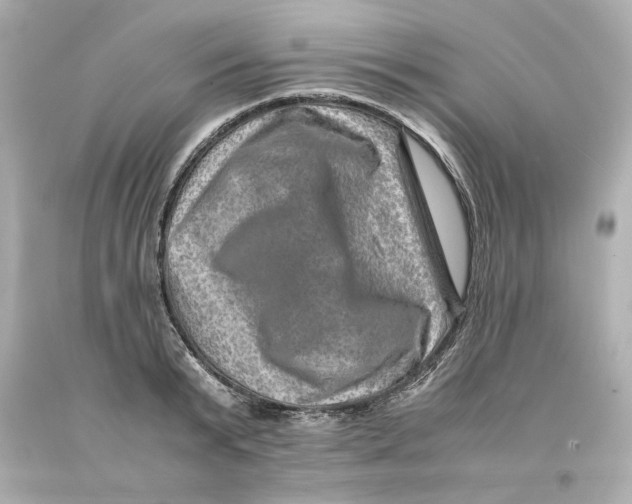 X0000093100799200710241220