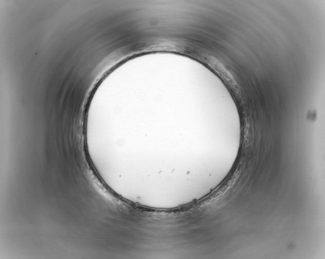 X0000093100800200710241220