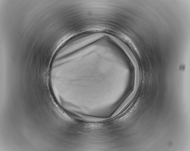 X0000093100802200710241220