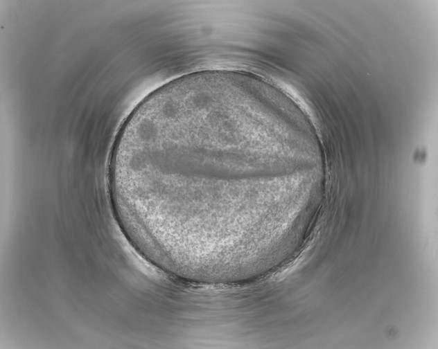 X0000093100803200710241220