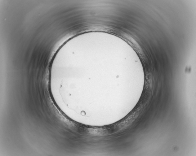 X0000093100804200710241220