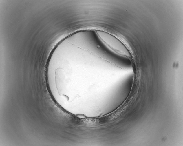 X0000093100805200710241220