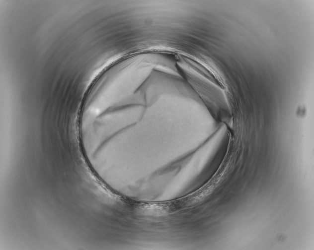 X0000093100806200710241220