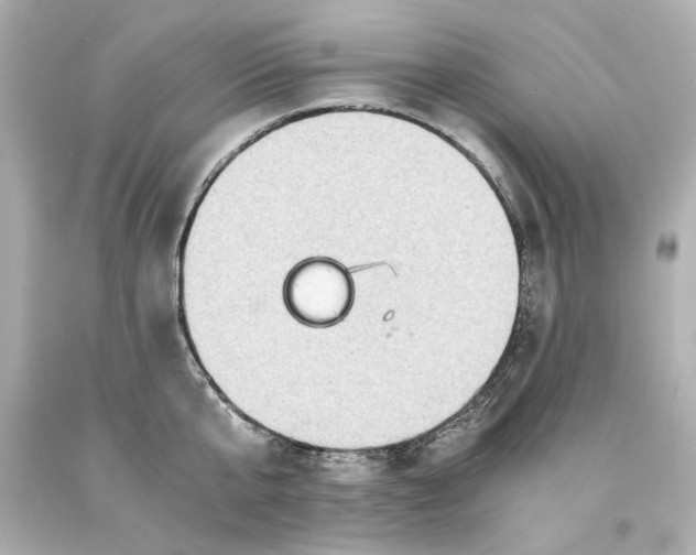 X0000093100807200710241220