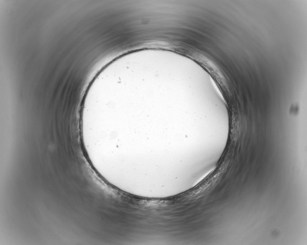 X0000093100808200710241220