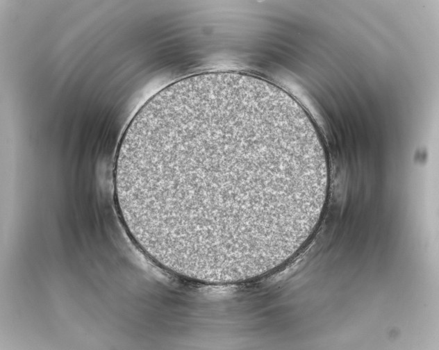 X0000093100810200710241220