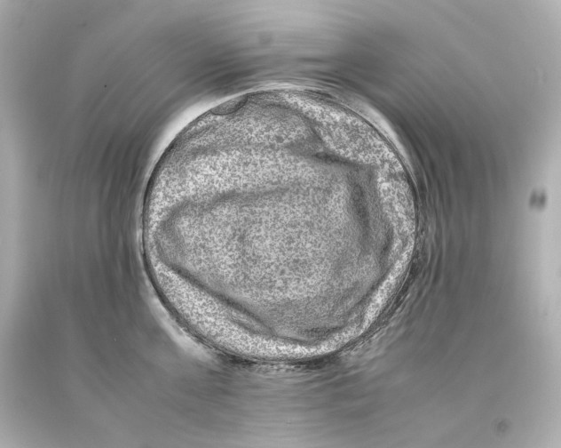X0000093100811200710241220