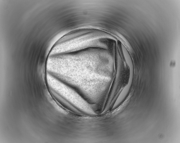 X0000093100812200710241220