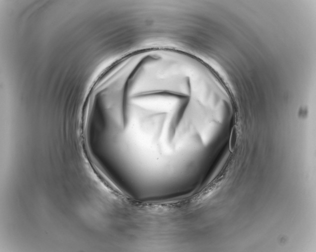X0000093100815200710241220