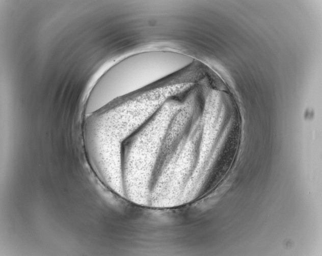 X0000093100816200710241220