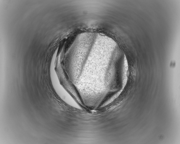 X0000093100818200710241219