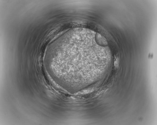 X0000093100819200710241219