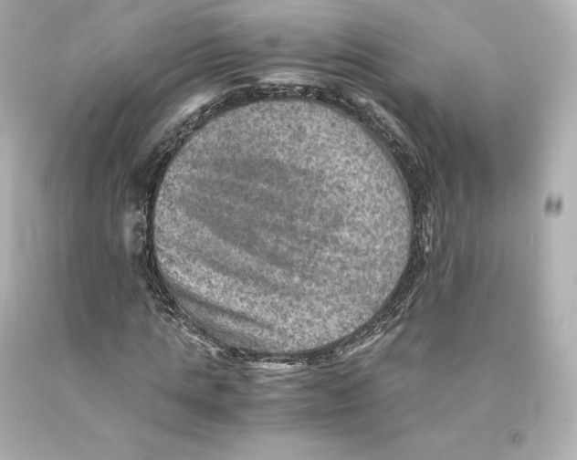 X0000093100821200710241219