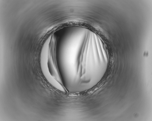 X0000093100822200710241219