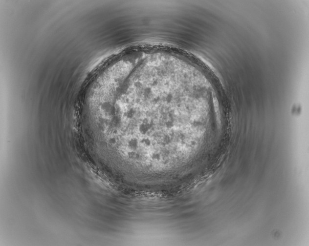 X0000093100823200710241219