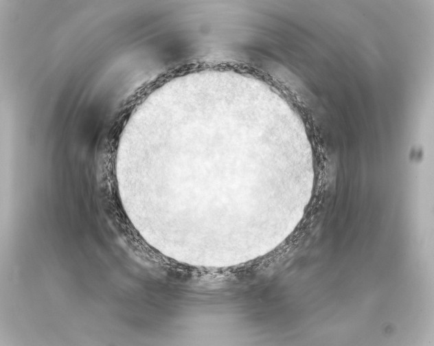 X0000093100824200710241219