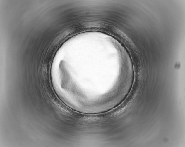 X0000093100825200710241219