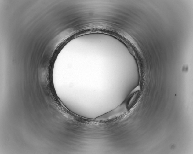 X0000093100826200710241219