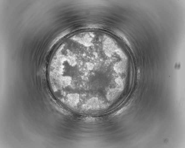 X0000093100827200710241219