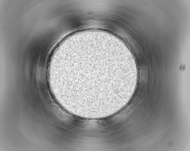 X0000093100828200710241219
