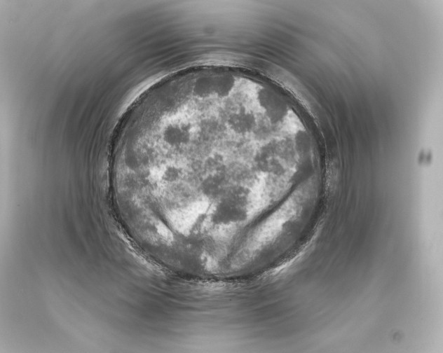 X0000093100829200710241219
