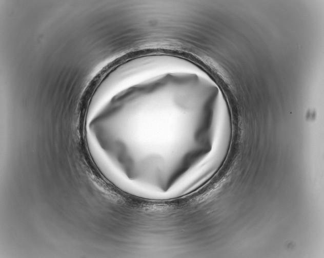 X0000093100830200710241219