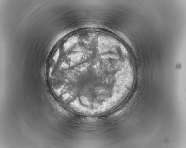 X0000093100831200710241219