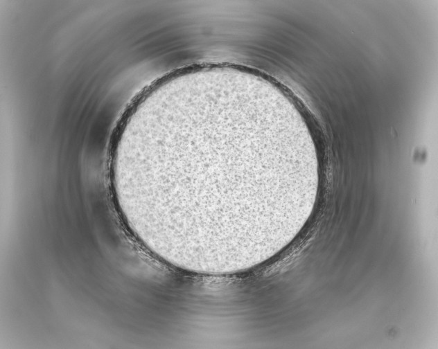 X0000093100832200710241219